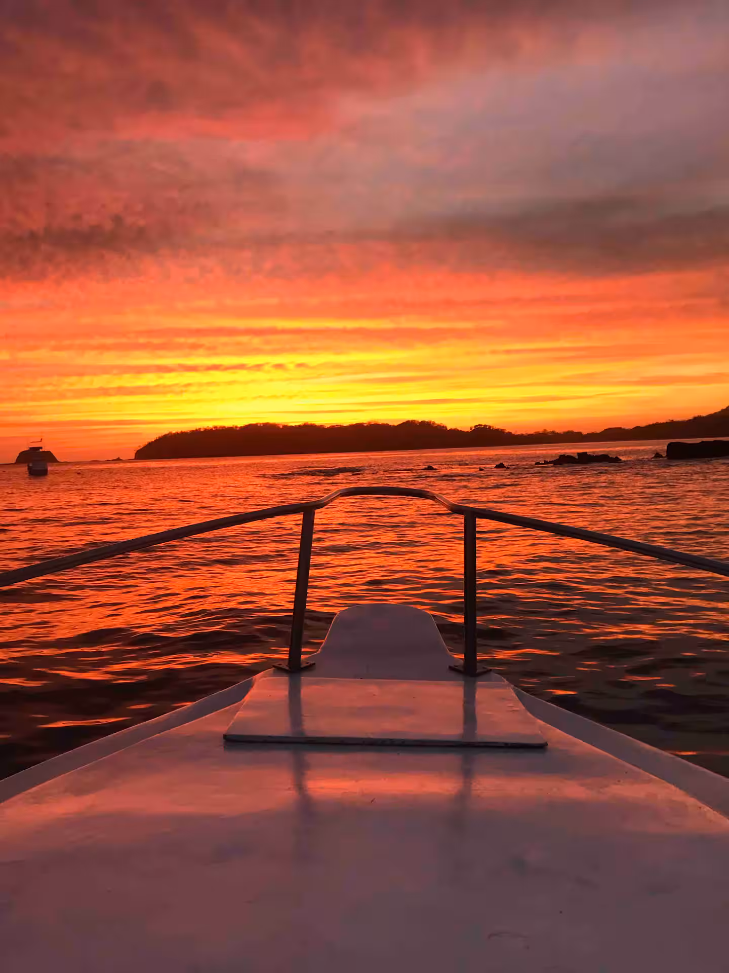 Boat tours and water activities