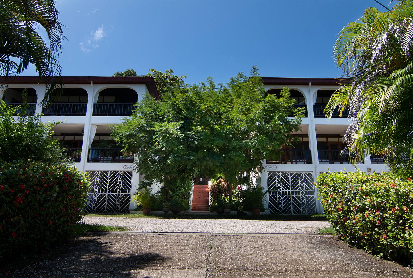 Beautiful entrance with tropical landscaping