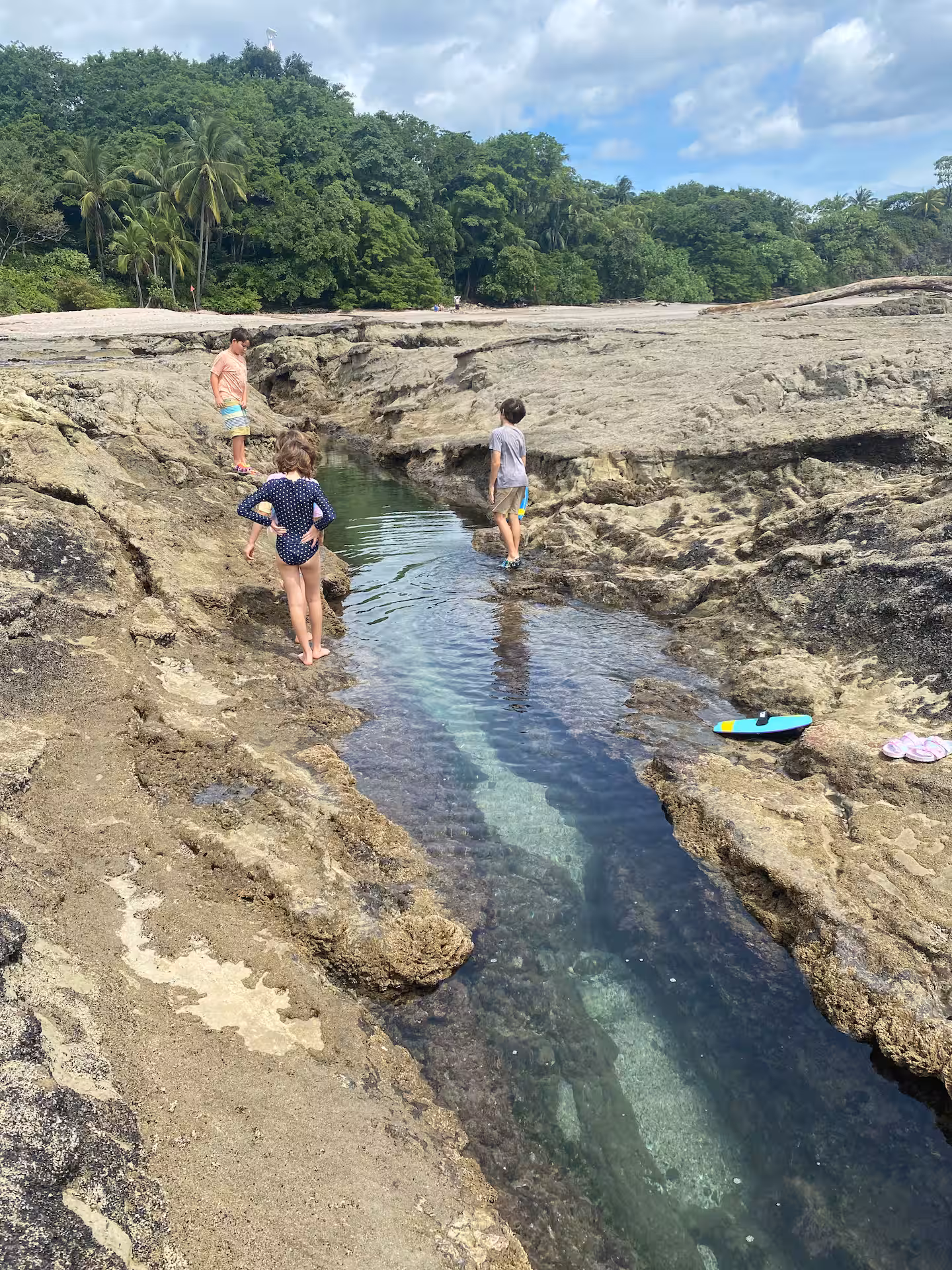 More tidal pool adventures