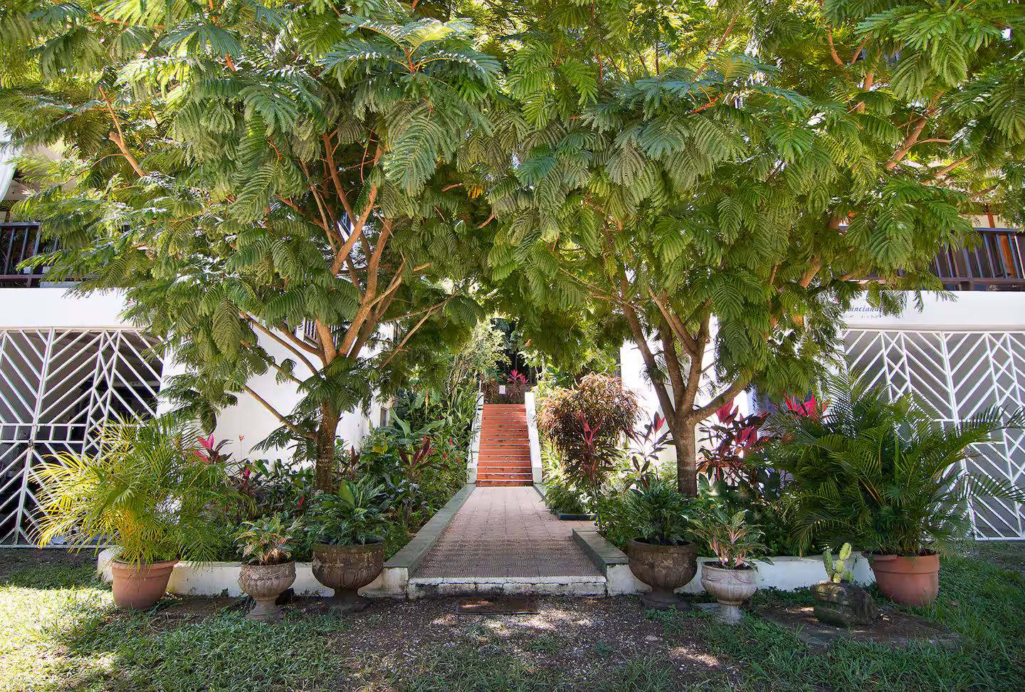 Lush tropical walkways